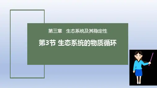 【课件】生态系统的物质循环(第2课时)课件 2022—2023学年高二上学期生物人教版选择性必修2