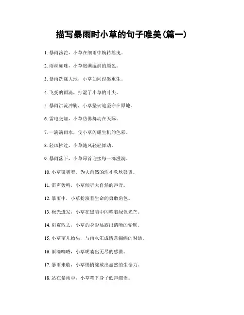 描写暴雨时小草的句子唯美(精选两篇)