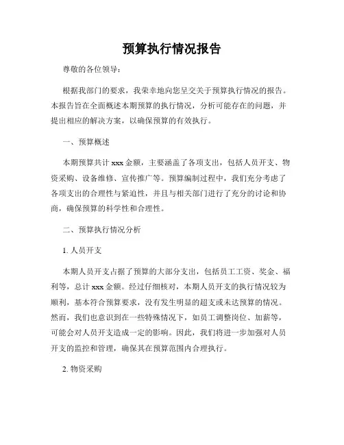 预算执行情况报告