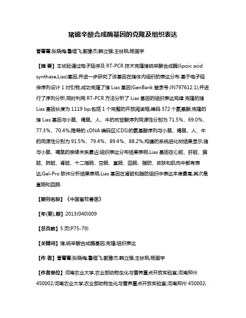 猪硫辛酸合成酶基因的克隆及组织表达