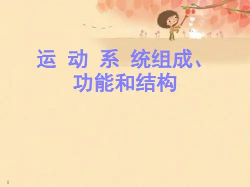 运动系统组成、功能和结构