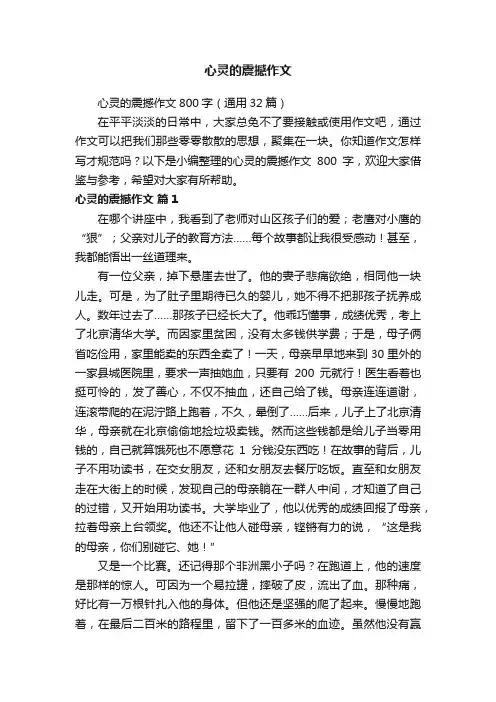 心灵的震撼作文
