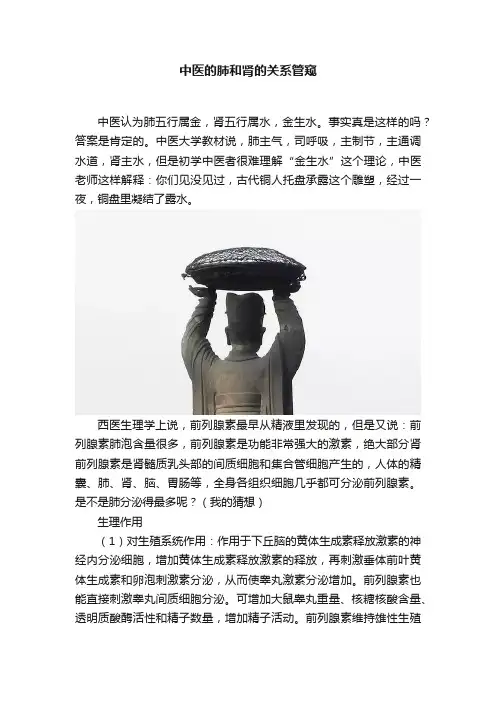 中医的肺和肾的关系管窥