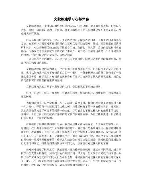 文献综述学习心得体会