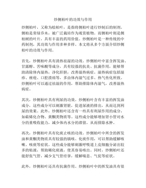 炒侧柏叶的功效与作用