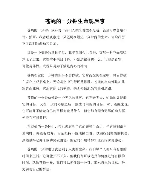 苍蝇的一分钟生命观后感