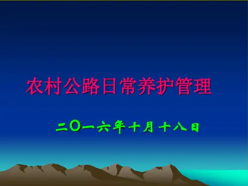 农村公路日常养护管理