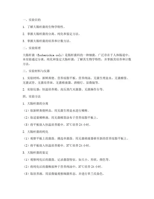 微生物大肠杆菌实验报告