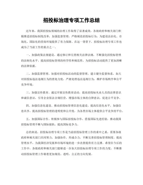招投标治理专项工作总结