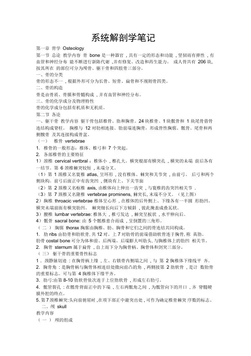 系统解剖学笔记