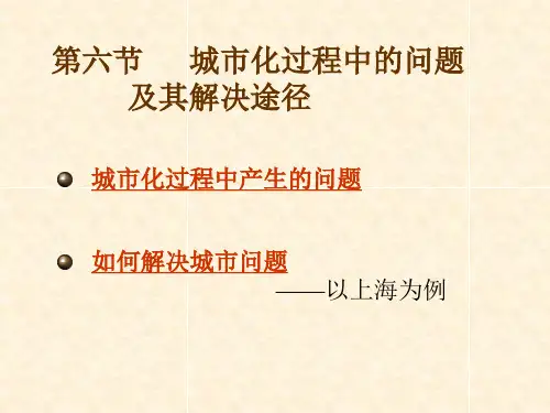 城市化过程中的问题及其解决途径