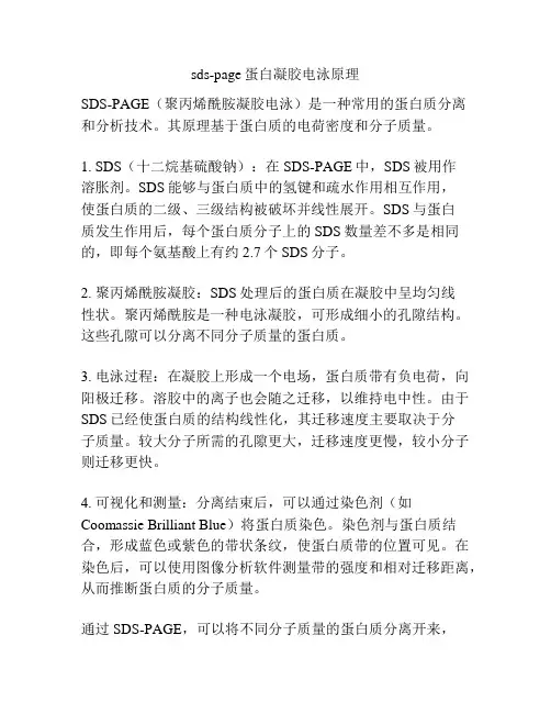 sds-page蛋白凝胶电泳原理