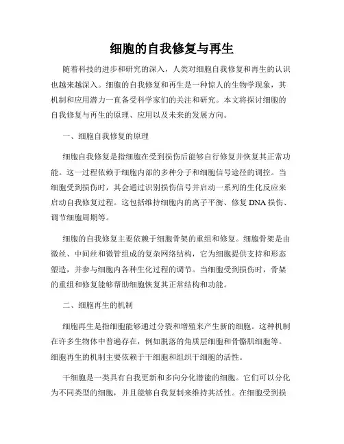 细胞的自我修复与再生