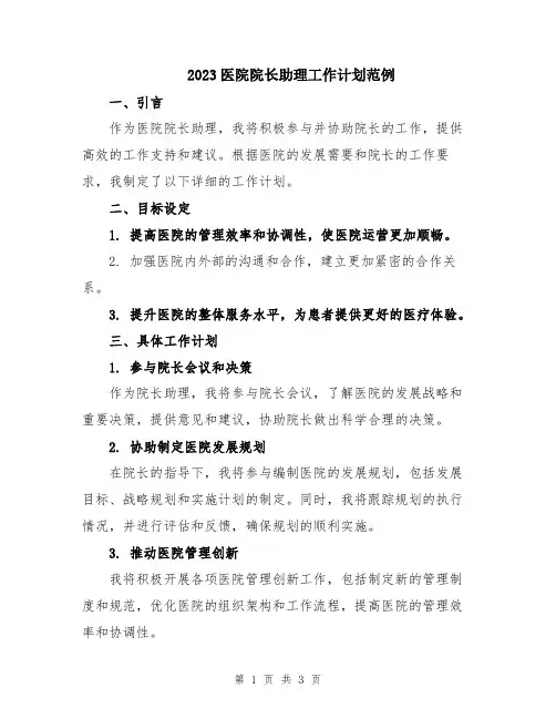2023医院院长助理工作计划范例