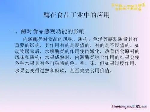 酶在食品工业中的应用ppt课件