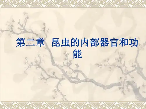 第二章 昆虫的内部器官和功能