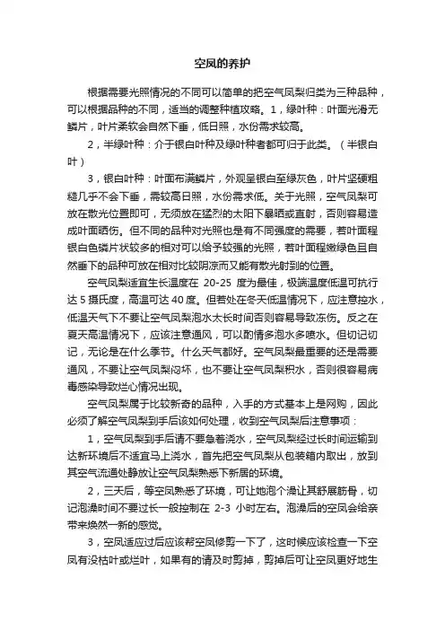 空凤的养护