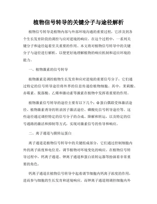 植物信号转导的关键分子与途径解析