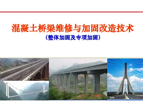 混凝土桥梁维修与加固改造技术PPT培训课件