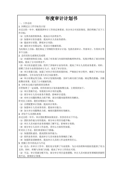 年度审计计划书