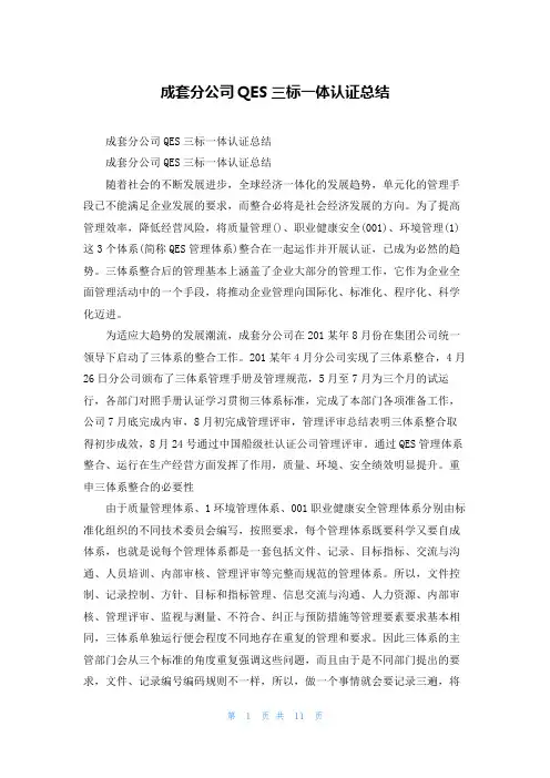 成套分公司QES三标一体认证总结