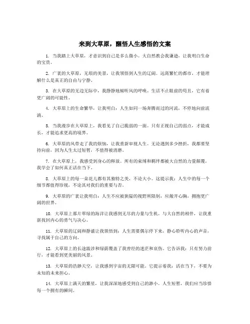 来到大草原,醒悟人生感悟的文案