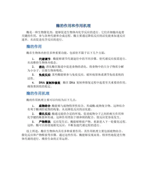 酶的作用和作用机理图