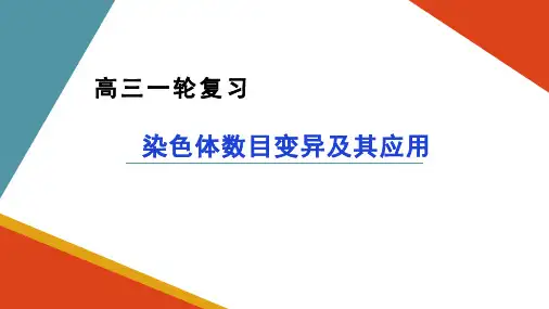 2023届高三生物一轮复习课件染色体变异