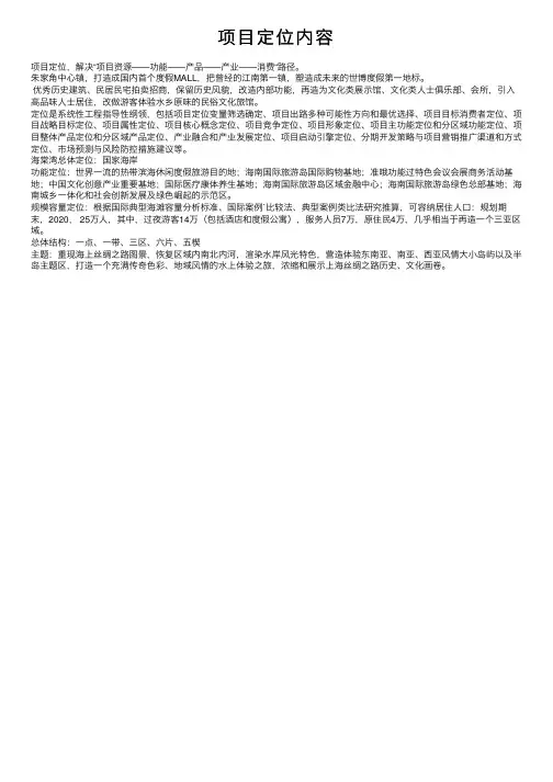 项目定位内容