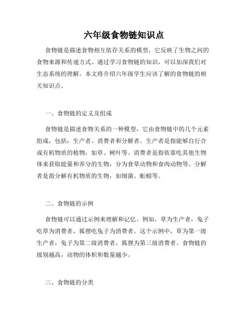 六年级食物链知识点