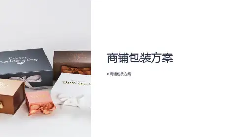 《商铺包装方案》课件
