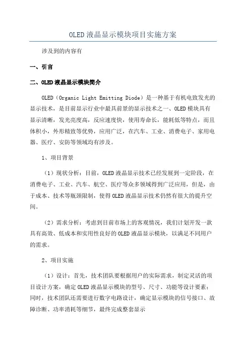 OLED液晶显示模块项目实施方案