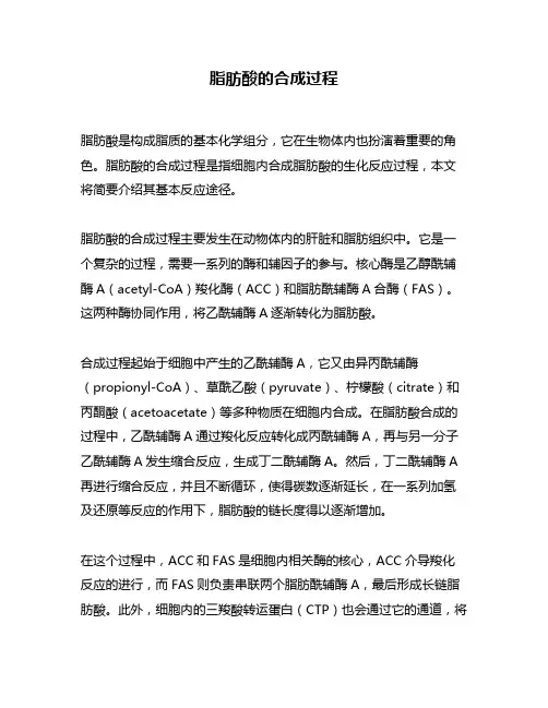 脂肪酸的合成过程