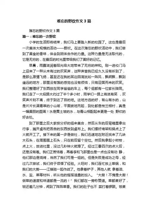 难忘的野炊作文3篇
