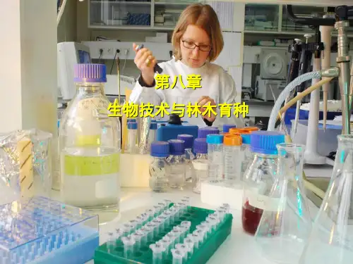 (林木育种学)第八章林木生物技术