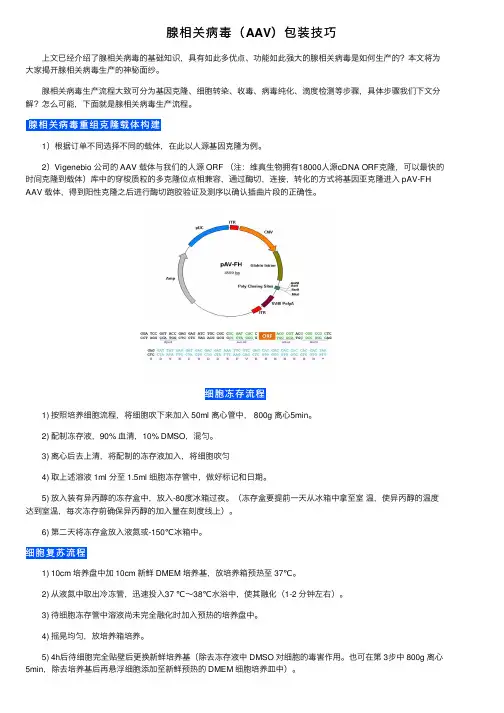 腺相关病毒（AAV）包装技巧