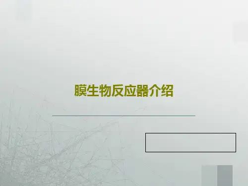膜生物反应器介绍37页PPT