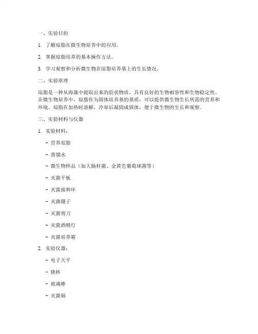 琼脂培养实验报告