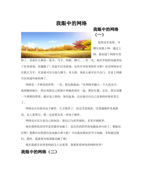 我眼中的网络(共10篇)