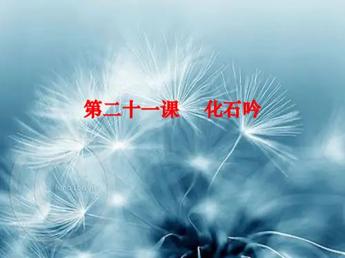 化石吟PPT精品课件