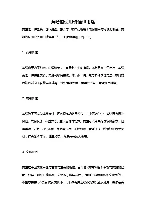 黄鳝的使用价值和用途