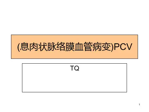 pcv-息肉状脉络膜血管病变课件
