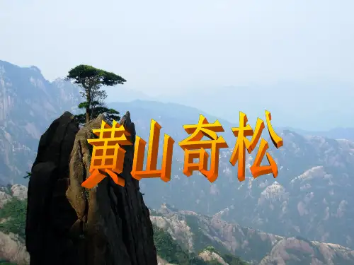 《黄山奇松》