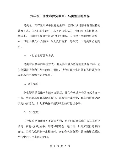 六年级下册生命探究教案：鸟类繁殖的奥秘