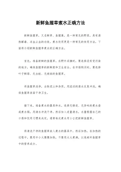 新鲜鱼腥草煮水正确方法