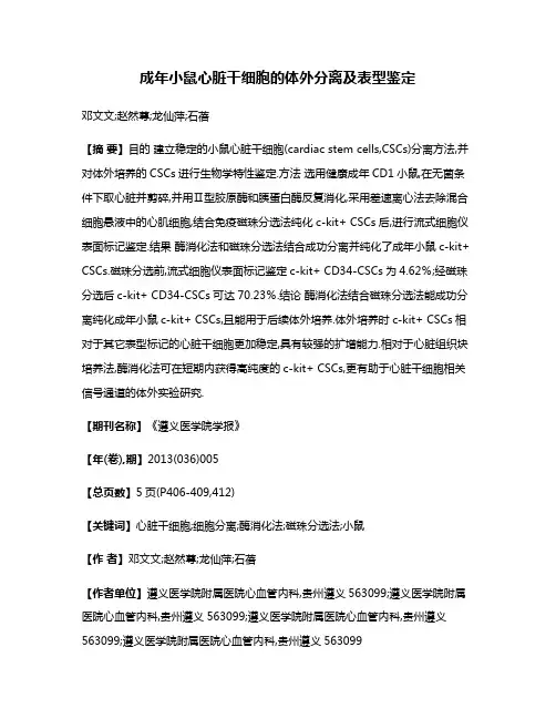 成年小鼠心脏干细胞的体外分离及表型鉴定