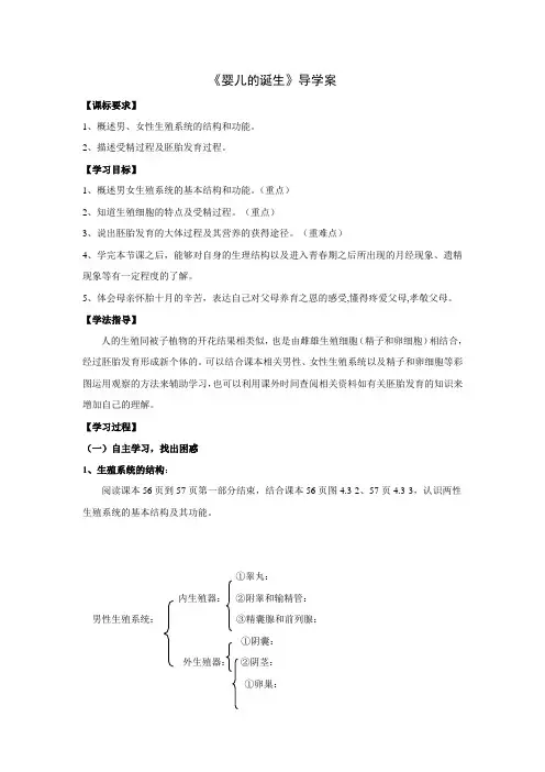婴儿的诞生