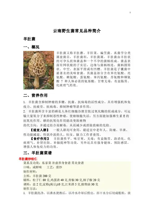 野生菌品种简介及菜谱