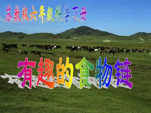 《有趣的食物链》优质ppt【苏教版】1
