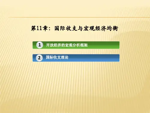 国际金融第十一章